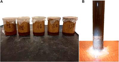 Using Incremental Changes to Convert Lignocellulosic Feedstocks to Cellulosic Ethanol